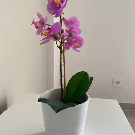 Appartamento Apartamento Tiaibin *